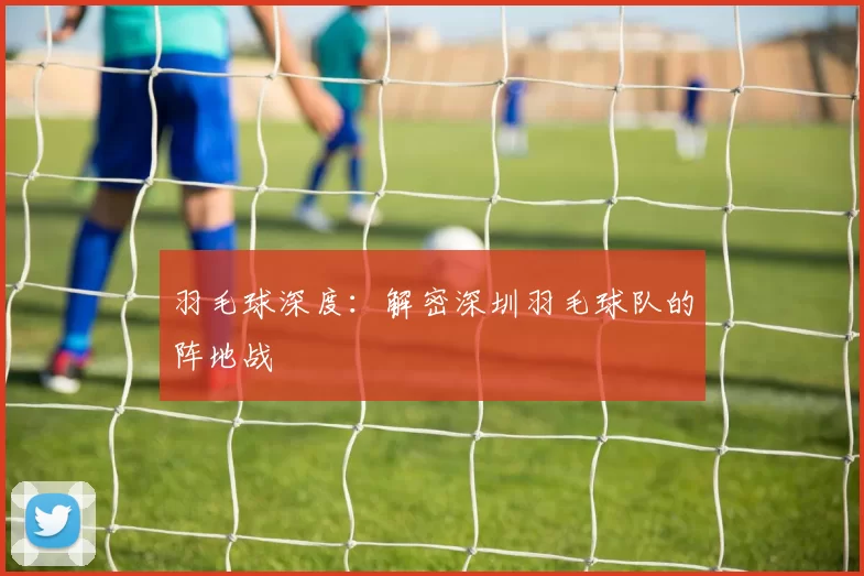 羽毛球深度：解密深圳羽毛球队的阵地战