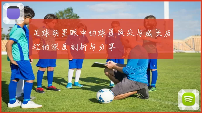 足球明星眼中的球员风采与成长历程的深度剖析与分享