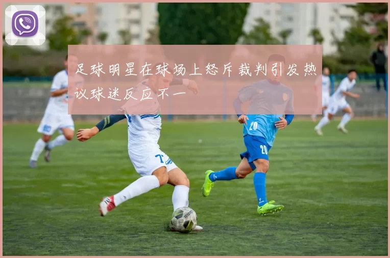 足球明星在球场上怒斥裁判引发热议球迷反应不一