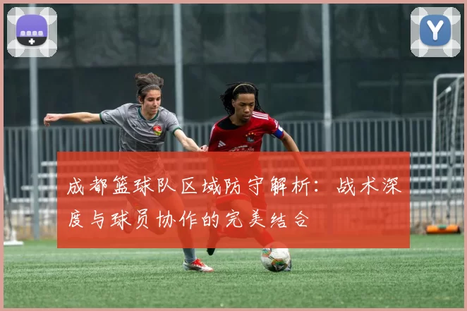 成都篮球队区域防守解析：战术深度与球员协作的完美结合