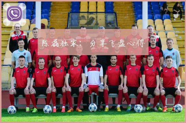 陈磊独家：分享飞盘心得