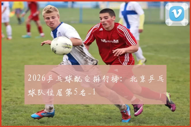 2026乒乓球配合排行榜：北京乒乓球队位居第5名_1